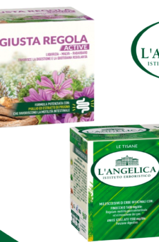 L'Angelica