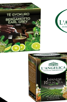 L'Angelica