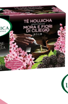 L'Angelica
