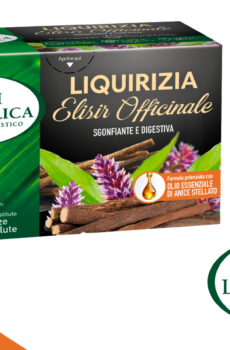 L'Angelica