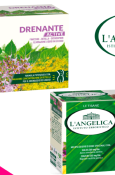L'Angelica