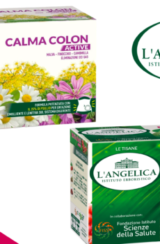 L'Angelica