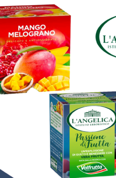 L'Angelica